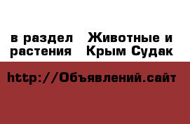  в раздел : Животные и растения . Крым,Судак